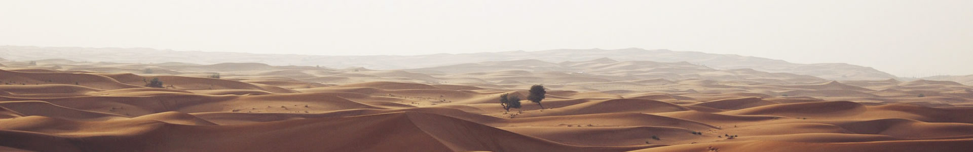 人ϹƼ޹˾